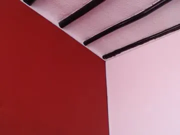 bayonette_black Image 13