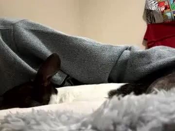 hellokitten123's Thumb Image