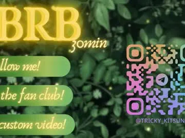 trickykitsune Image 13