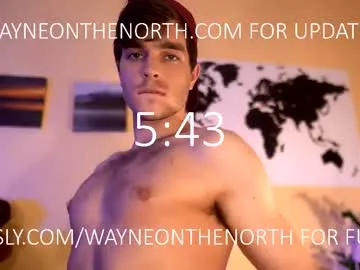 waynenorth Image 13