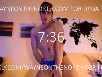 waynenorth Image 15