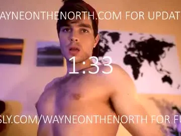waynenorth Image 16