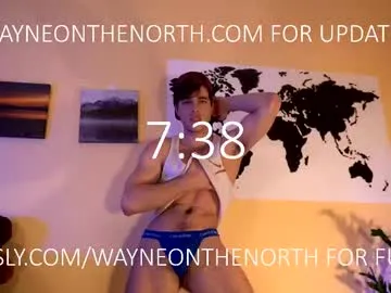 waynenorth Image 18