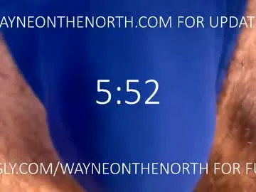 waynenorth Image 5