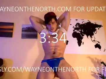 waynenorth Image 9
