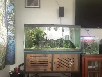 xooxie's Thumb Image